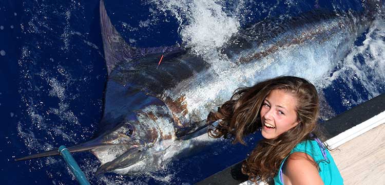 blue marlin