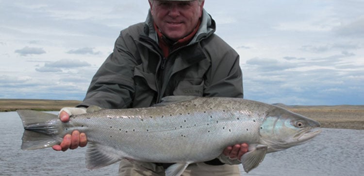 Fly fishing for Sea Trout in Argentina with Sportquest Holidays