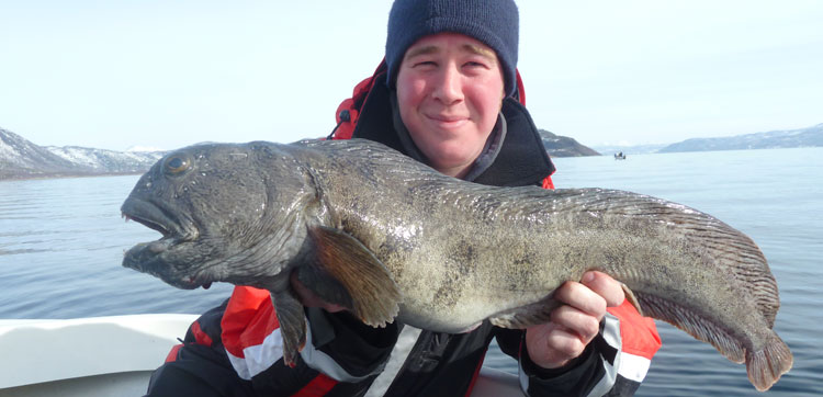 Norway Fishing Report