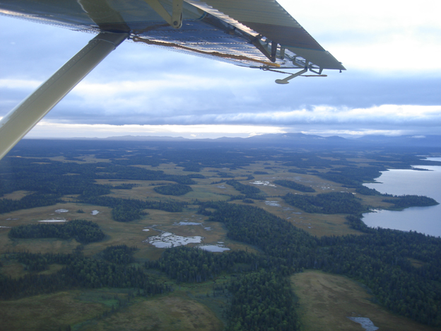 View of all the lakes and rivers of Alaska from the air