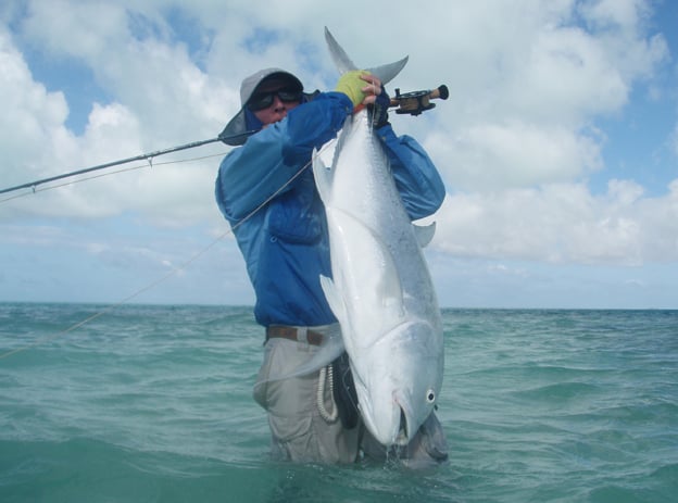 Little Bronze whaler shark