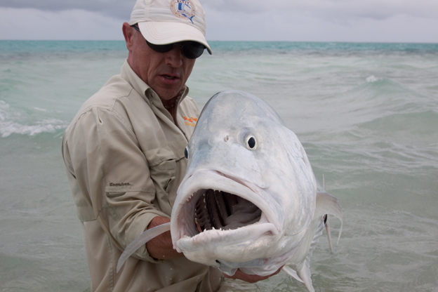 Biggest Ever Cod Caught By British Angler