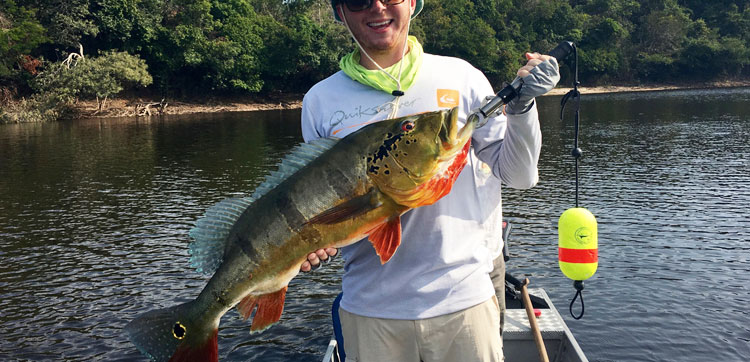 fly fishing for Peacock Bass brazil