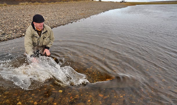 Fly fishing holidays in Argentina for Seatrout