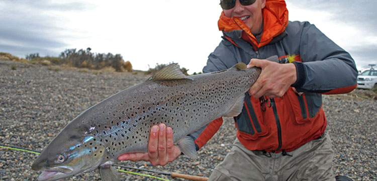 the-fifth-report-of-week-6-2012-from-las-buitreras-sea-trout-camp-in-argentina
