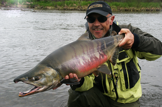 Peter collingsworth with a huge chum salmon from alaska