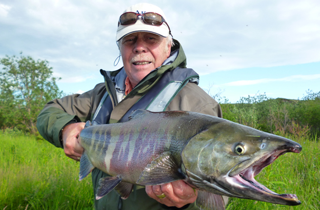 Salmon Fly Fishing Holidays in Alaska with Sportquest Holidays