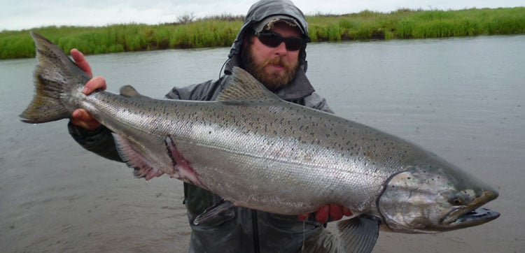 A big big King / Chinook Salmon Fly Fishing Holidays