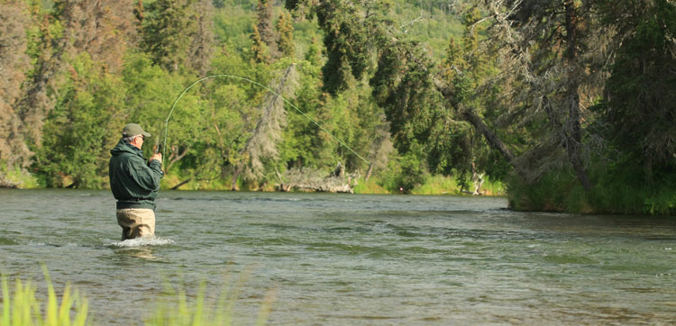 Customer fly fishing for salmon & rainbow trout at no see um lodge alaska