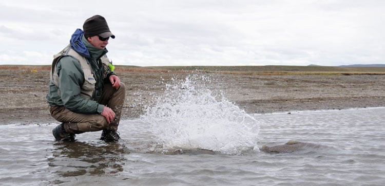 Fly fishing for sea trout in argentina with sportquest holidays