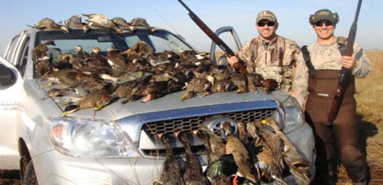 Duck Shooting Argentina