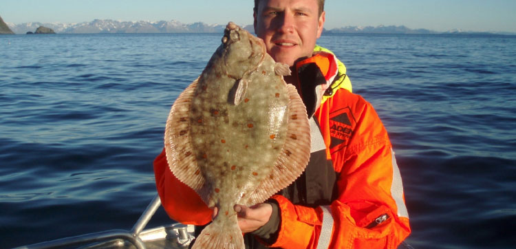 Fishing Report Norway of Plaice