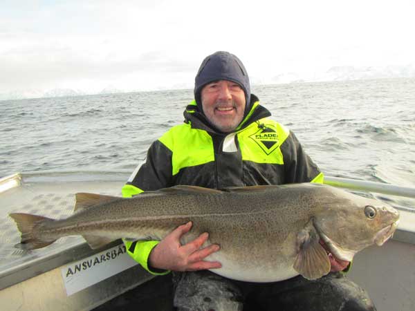 Man cradling his huge skrei cod from Norway Fishing Report