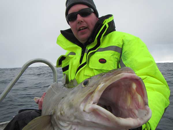 his biggest ever cod from soroya Norway Fishing Report