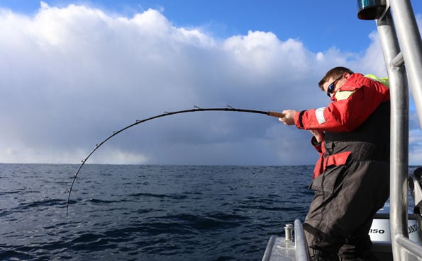 He is bent in to a massive Cod Fishing Report Norway