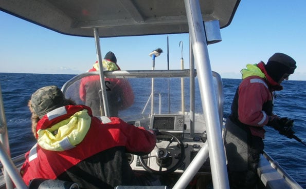 All three anglers Fishing Report Norway Soroya