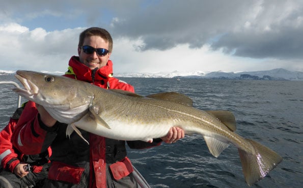 Matthew with a very long Cod around 20 kilo Fishing Report Norway