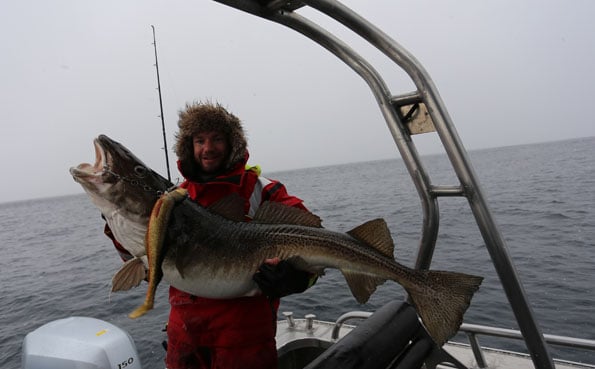That is one big Fishing Report Norway of some impressive Cod