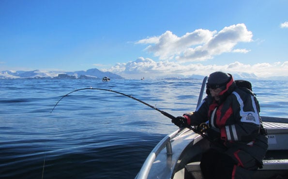 Flat calm seas at Soroya Fishing Report Norway