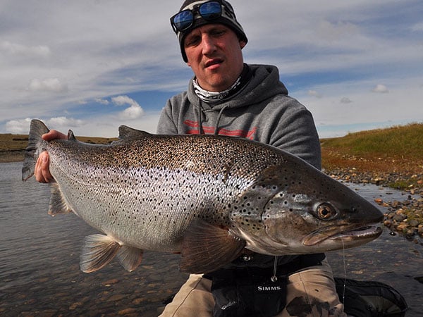 a huge sea trout caught on Hosted Sea Trout Fishing with Peter Collingsworth Las Buitreras Argentina