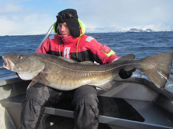 This is the biggest caught at 74Lb Fishing Report Norway