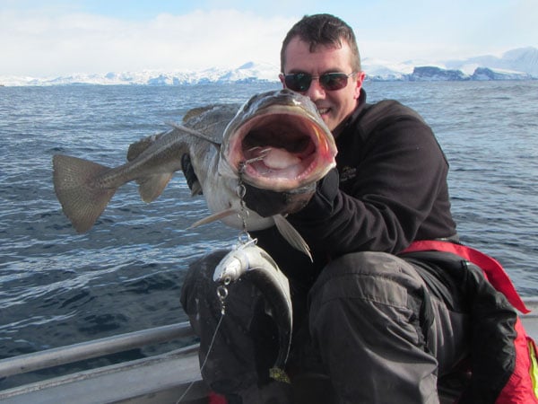 Head guide Paul Holding up a cod Fishing Report Norway