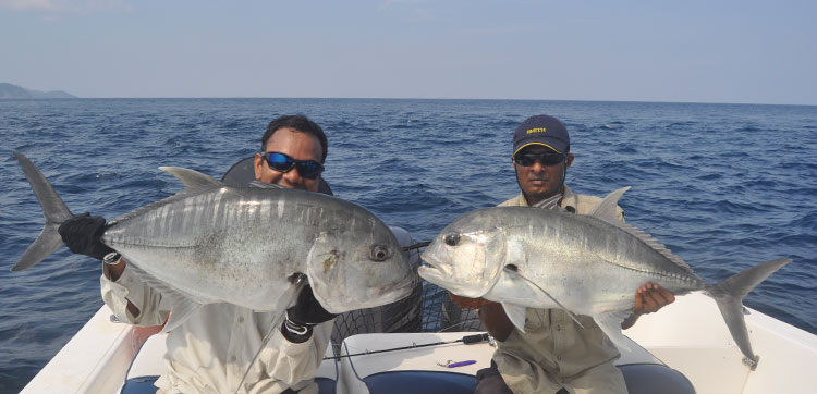 Giant Trevally Length Weight Chart