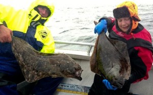 Friends Fishing report Norway of multiple halibut