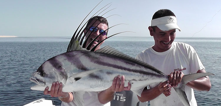 Mexico Stripe Marling Fishing report