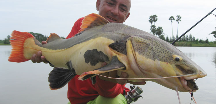 Thailand Fishing Report