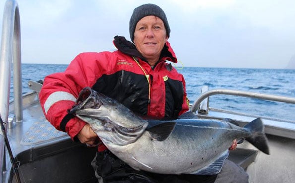 Lady holding up her biggest Coalfish ever Norway fishing report