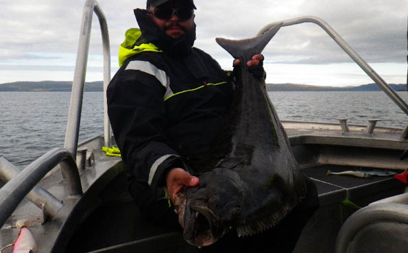 A very dark Halibut for this Norway fishing report