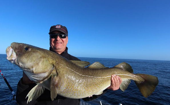 Sunshinning on a Cod angler Norway fishing report 