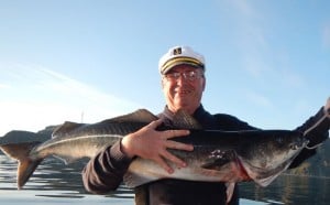 Very long Coalfish Norway fishing report from Havoysund