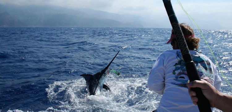 Madeira Fishing Report