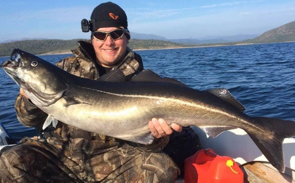 Man holding a huge coalfish for this fishing report norway