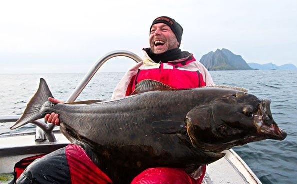 Claud with an absolute beast of a Halibut Norway fishing report