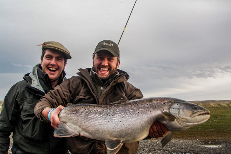 Sea Trout