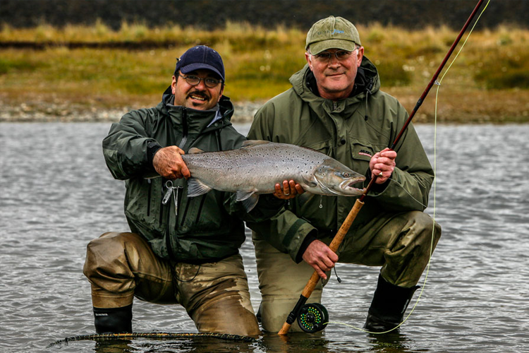 Sea Trout