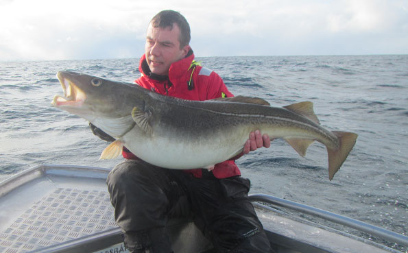 This 30LB Cod is small one from my Norway fishing report 