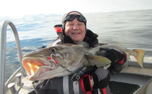 Norway fishing report from Soroya Norway of loads of Cod