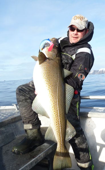 Perfect Cod from Norway fishing report Soroya