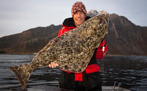 Norway fishing report of the best Halibut fishing ever