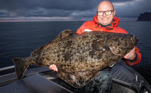 Thats his 10th Halibut for this Norway fishing report