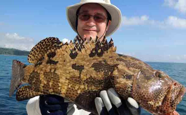 Fishing Report Andaman of a little grouper caught