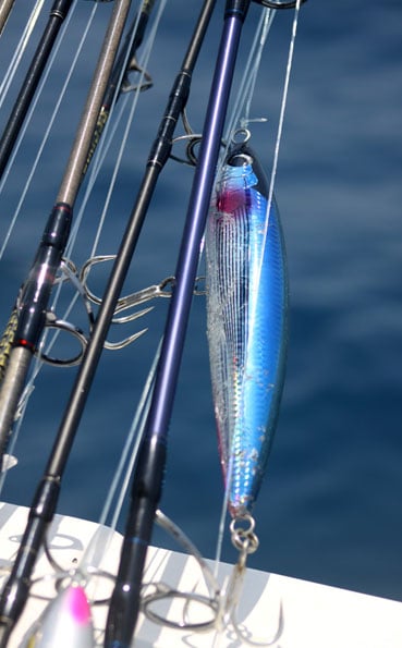 A blue coloured surface lure Andaman Fishing Report