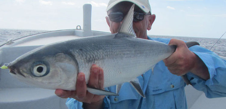 Amazing hosted fly fishing trips to Christmas Island with Peter Collingsworth