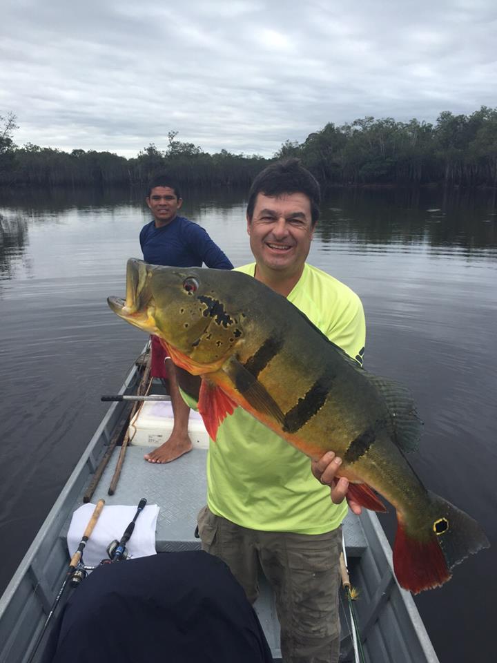 Yet another peacock bass Fishing Report Brazil