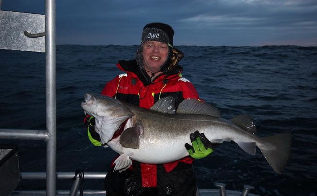 A very happy man holding a massive cod from Norway fishing report
