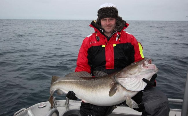 Mat smiling with his Cod picture for Norway fishing report
